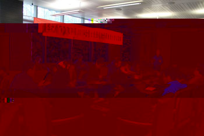 banner.jpg