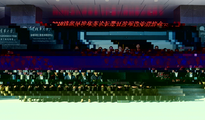 d2.jpg