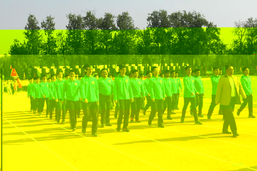 m2.jpg
